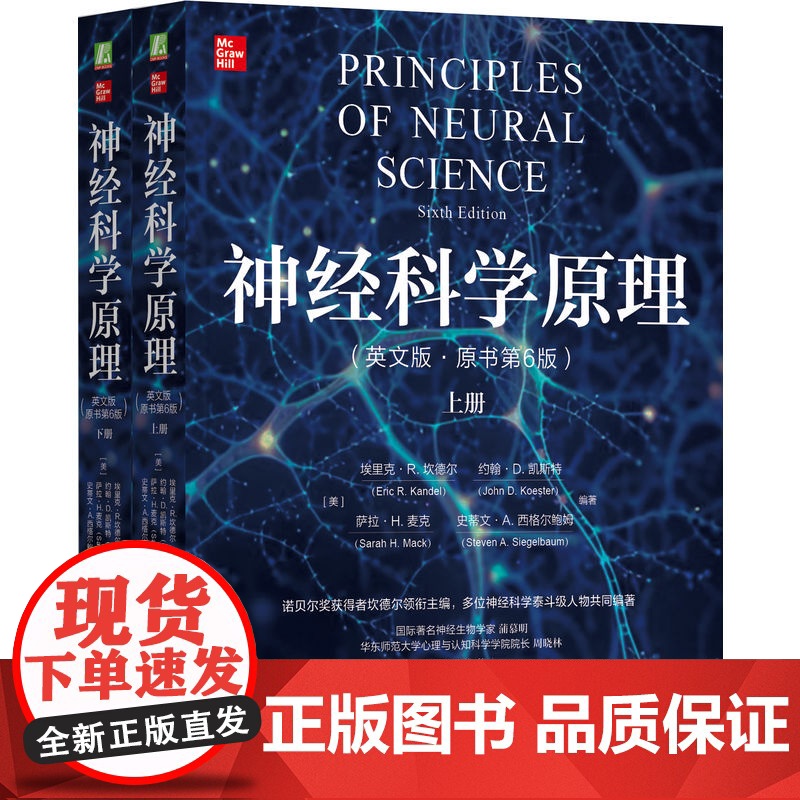正版 神经科学原理(英文版·原书第6版)神经科学 神经科学原理 诺贝尔奖 教科书金标准 埃里克·R.坎德尔 认知 行高清大图