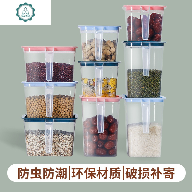 人気上昇中 24cm 箱無し簡易包装 asakusa.sub.jp