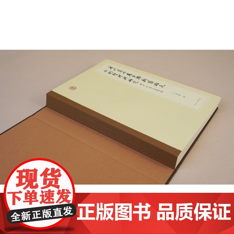 唐代高句丽百济新罗移民石刻整理与研究 王连龙著文物考古碑刻古代史中西书局海东三国入唐移民石刻全面整理与研究高清大图