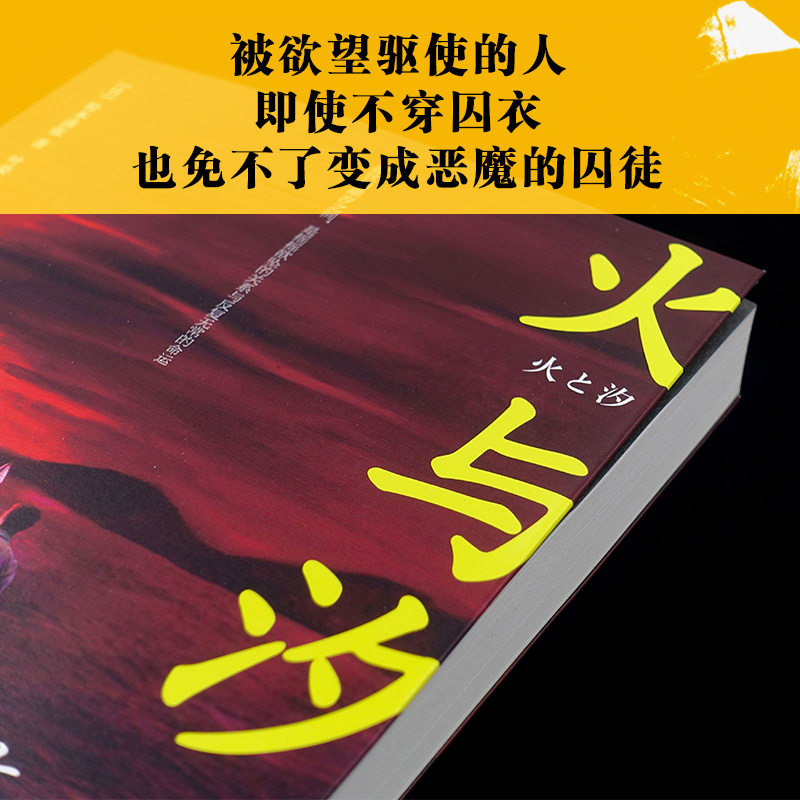 醉染图书火与汐9787541158827高清大图