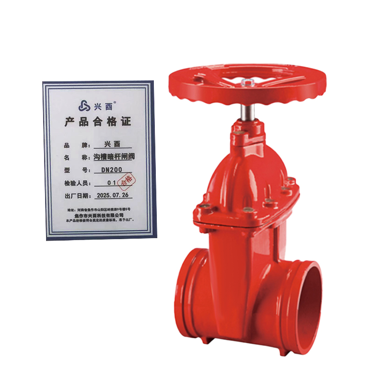 兴酉 沟槽暗杆闸阀 DN200 个高清大图