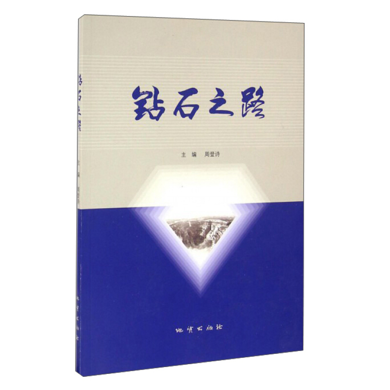 正版新书】钻石之路周登诗 主编9787116094529