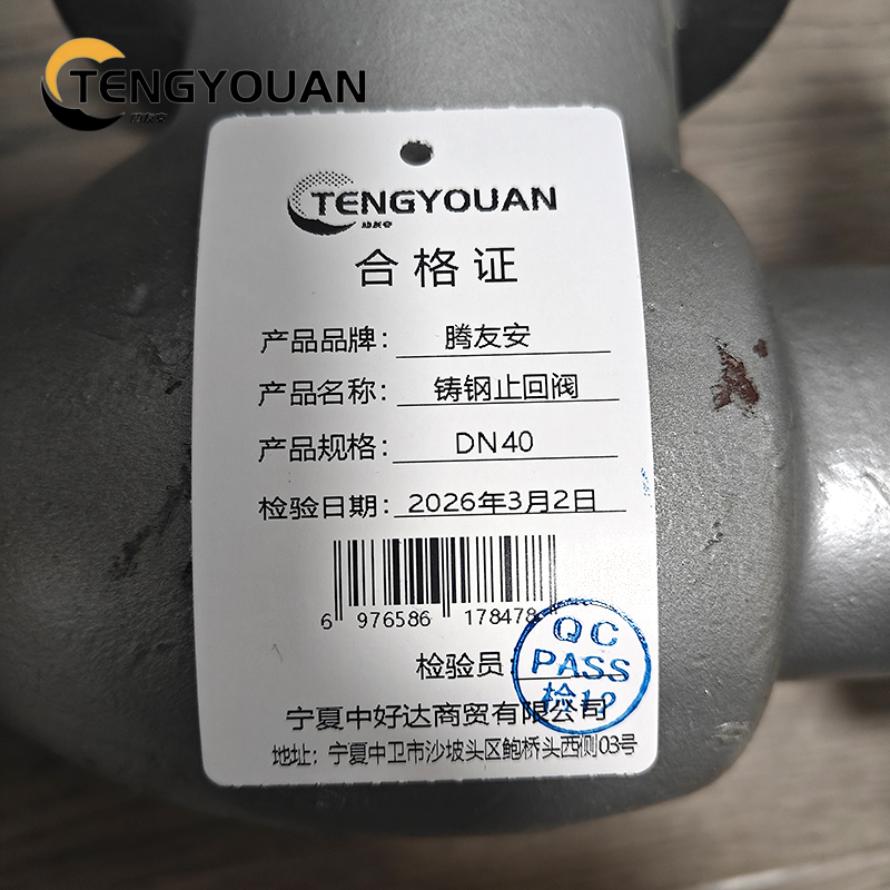 腾友安铸钢止回阀DN40/个高清大图