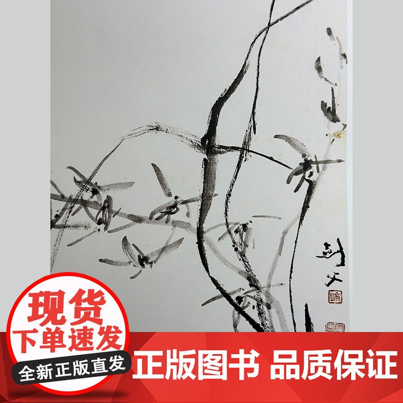 方楚雄教学示范.兰 国画技法 步骤详解 教学示范视频 国画好书 岭南美术出版社高清大图