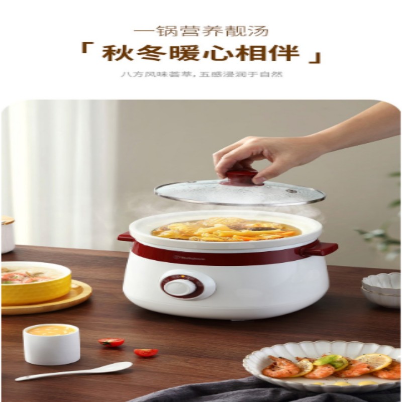 西屋(WESTINGHOUSE)WDG03L21 米白色 3L高清大图