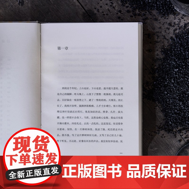 正版 猛虎下山 李修文著 鲁迅文学奖得主李修文沉潜多年推出长篇新作 人性的变异与时代精神互为显影 人民文学出版社书籍高清大图