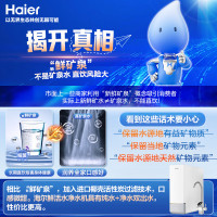 海尔(Haier)鲜活水净水器家用净水机1000G大通量双出水厨下式RO反渗透母婴直饮净水器HRO10H11