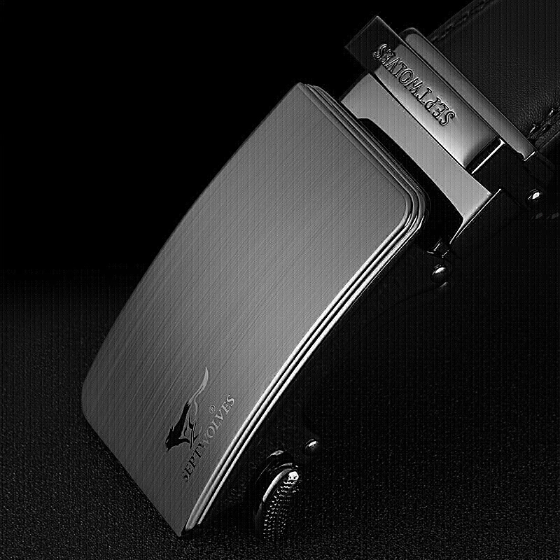 七匹狼(SEPTWOLVES))腰带M73821A339-01高清大图