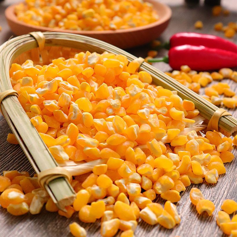 东北农家粘玉米大碴子5斤五常正宗农家香糯黏玉米碴子苞米大碴粥笨大