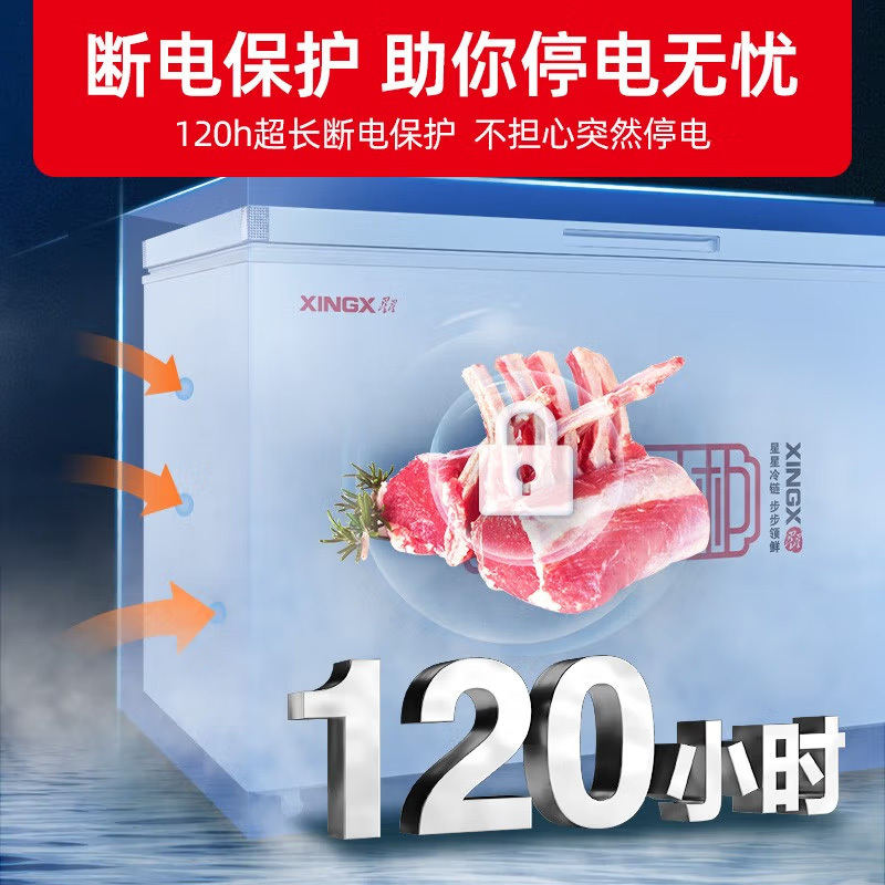 星星(XINGX) 400升 商用卧式冷柜 冷藏冷冻转换 冰柜 商用保鲜设备 微霜系统 节能省电 BD/BC-400R高清大图