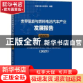 世界氢能与燃料电池汽车产业发展报告:2021:2021