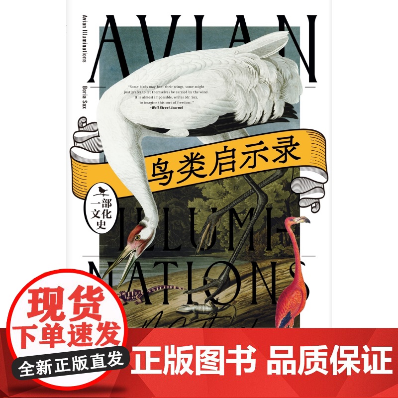 鸟类启示录:一部文化史 博里亚萨克斯著上海教育出版社博物学自然历史读物描摹人鸟之间神秘精神亲密关系高清大图
