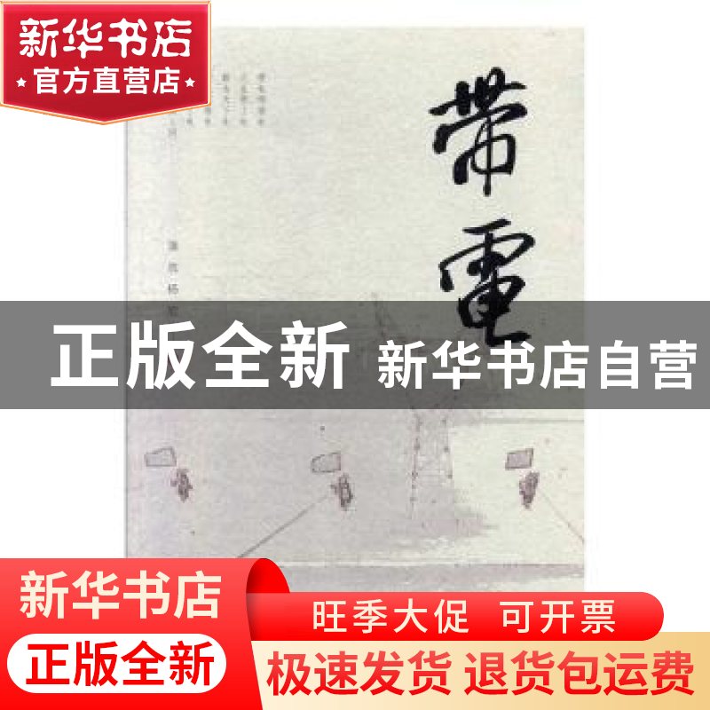 正版 带电 潘洗//杨宏 春风文艺出版社 9787531356905 书籍