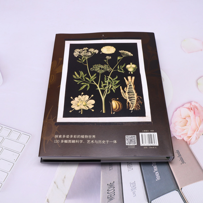 [正版]植物挂图:科学发展黄金阶段的艺术(120余幅精美挂图,解读多姿多彩的植物世界,精巧描绘植物生命的奥秘)高清大图