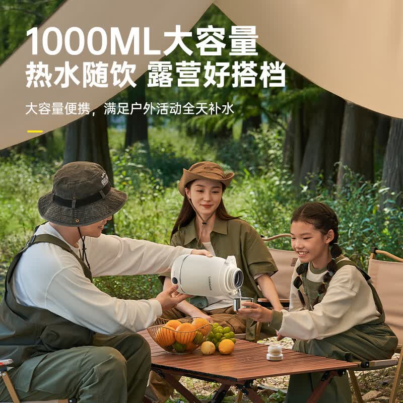 乐扣乐扣（LOCK&LOCK）商务便携保温电热水杯 0.8L EJK3615WHT高清大图