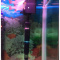 紫外线消毒灯鱼缸除绿藻水族箱净水上过滤潜水uv灯灯