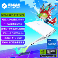 机械革命极光X潮玩版 i7-14650HX 5060海盐白 Q31