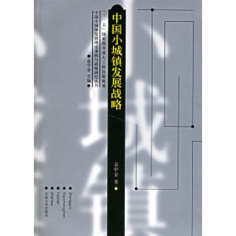 11中国小城镇发展战略9787564106119ll视频