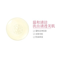 DHC蝶翠诗橄榄蜂蜜滋养皂(洁面皂)90g 滋润营养 保湿补水1个 温和清洁 各种肤质通用 洁肤皂/粉