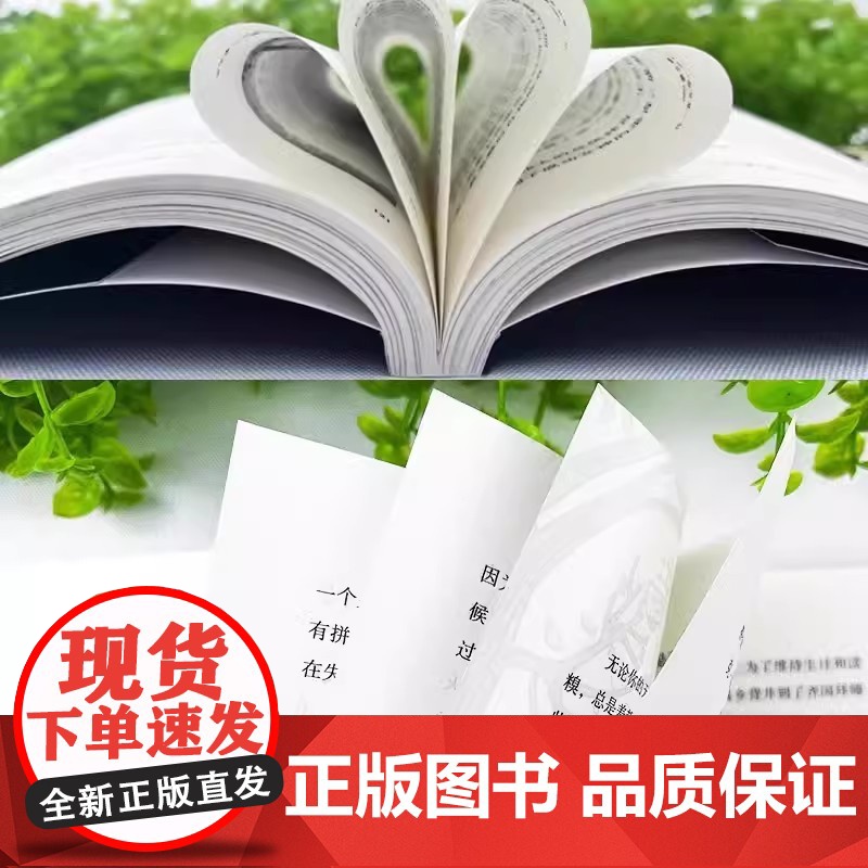 允许一切发生+心的疗愈 全2册摆脱内耗修心静心拥有钝感力重塑内心战胜焦虑自我疗情绪控制心理健康疏导书籍停止内耗心理学冥想高清大图