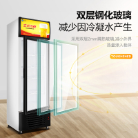 迈玮(MW) 688升 商用展示柜 保鲜冷藏柜 风直冷立式冷柜冰柜 超市水果啤酒柜 饮料柜 点菜柜 茶叶柜 冰吧 侧开门