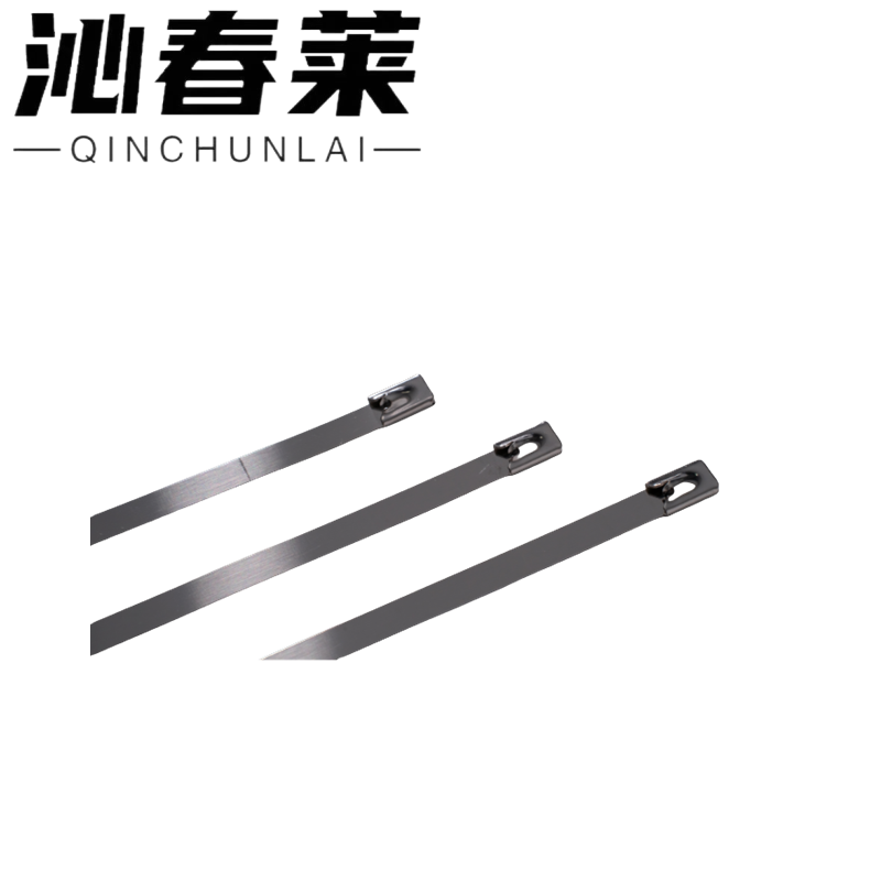沁春莱不锈钢扎带4.6*350-100/包高清大图