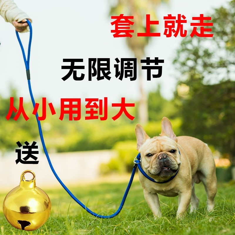 狗绳遛狗狗牵引绳狗链子小型犬法耐 Fanai 泰迪狗绳子p绳中型犬大型犬金毛p链蓝色s码粗0 8厘米小型犬报价 参数 图片 视频 怎么样 问答 苏宁易购