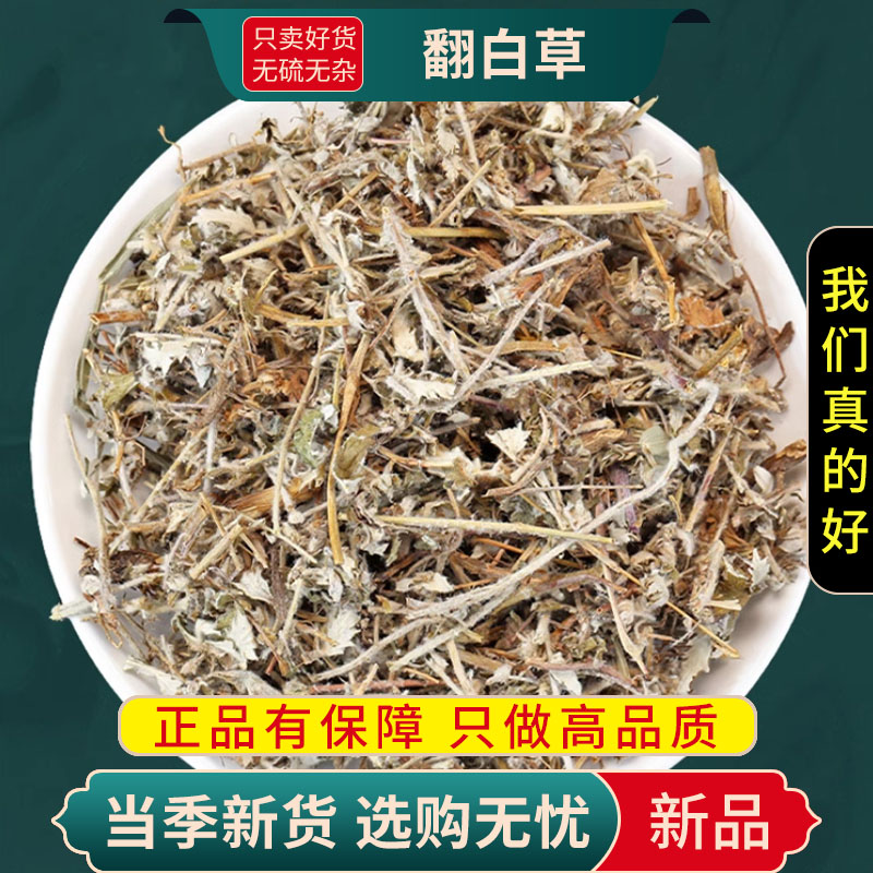 甄选翻白草100克干货正品煮水泡茶另售绞股蓝茶苦丁茶9260高清大图