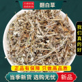 沈之问 翻白草100克/一袋