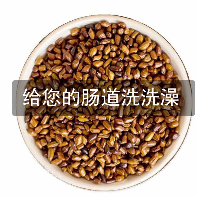 大罐装优质熟决明子茶 草决明 500克(1罐装)