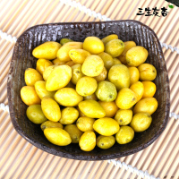 三生友杏 银杏果仁五香味120gx1罐 即食开心白果仁办公室休闲健康小零食