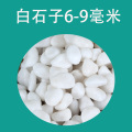 五彩石彩色石子七彩石盆栽多肉铺面装饰鱼缸造景底砂小彩园彩 均码 白石子6-9毫米10斤花卉铺面鱼缸造景