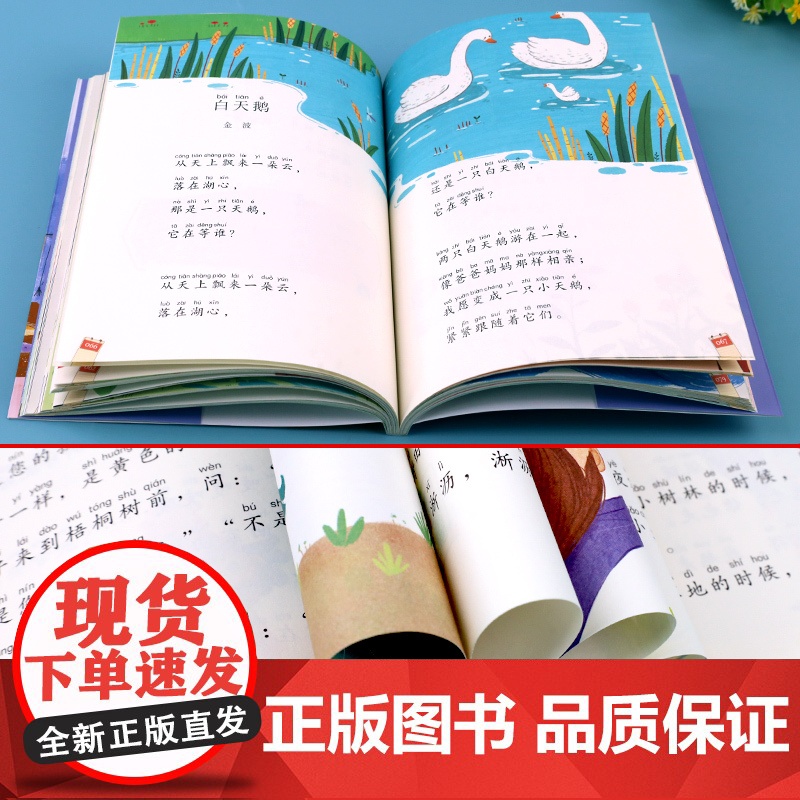 和大人一起读一年级上册注音版人教版部编快乐读书吧一年级阅读课外书必读带拼音大语文下册我们去看海金波北京教育出版社老师高清大图