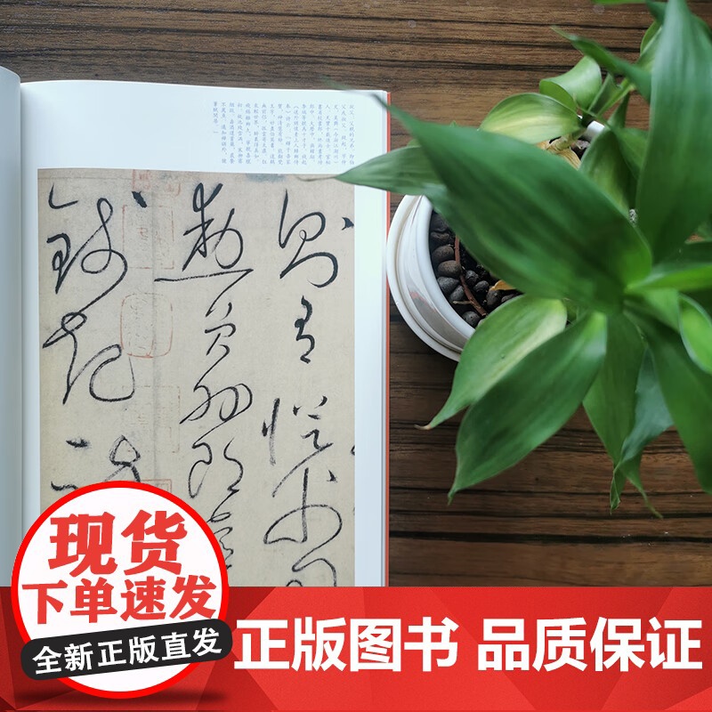 怀素自叙帖 中国碑帖名品64大红袍系列上海书画出版社书法篆刻正版字帖高清大图