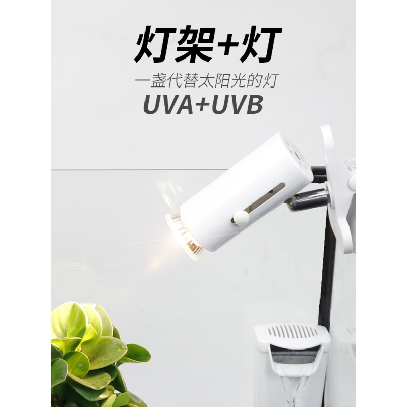 小乌龟灯晒背灯三合一龟用背照灯架uva+uvb灯爬宠全光谱太阳灯泡高清大图