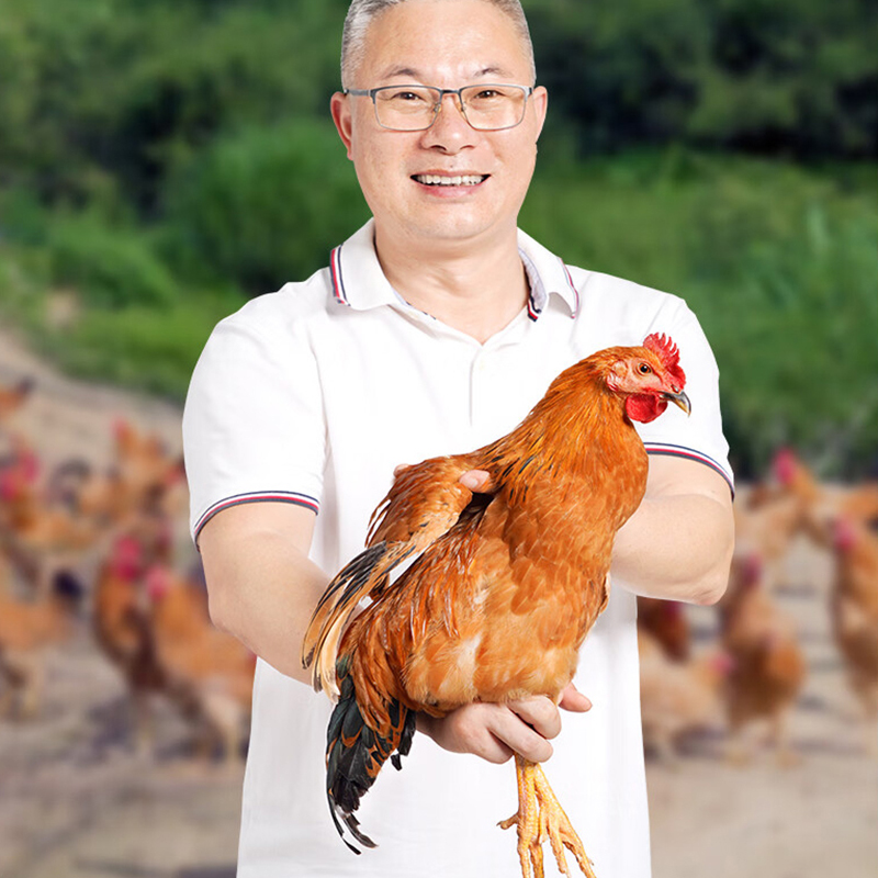 杨博士生鲜套餐318型(1000g+10枚)高清大图