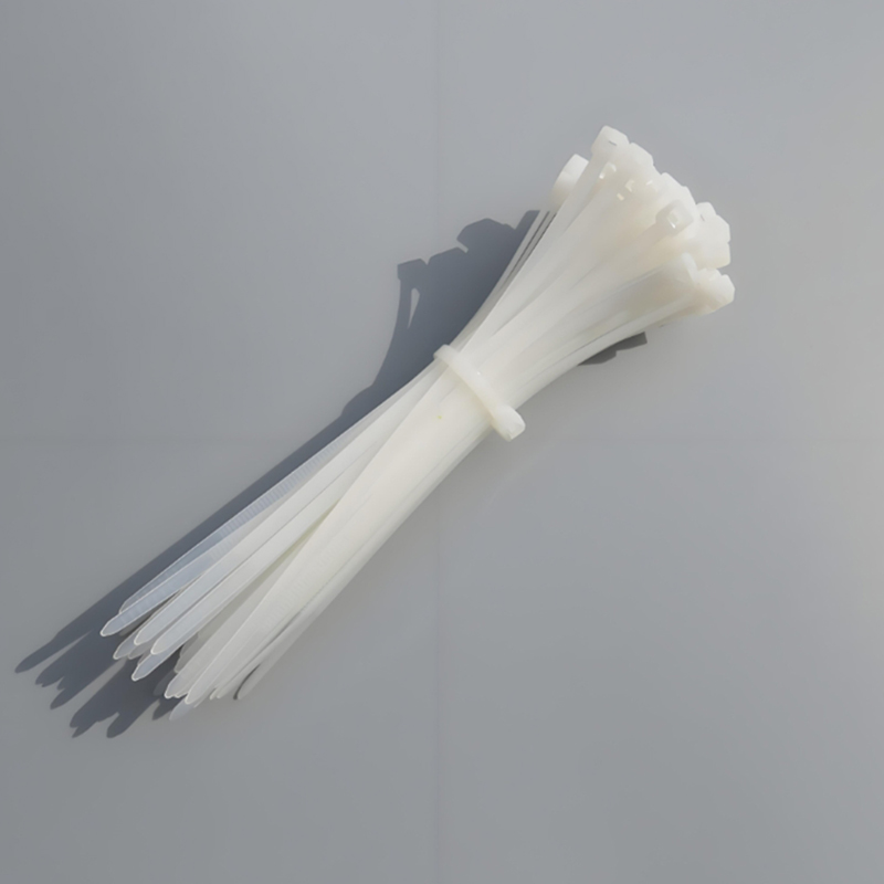 顺心捷 尼龙扎带 10×600mm 根高清大图