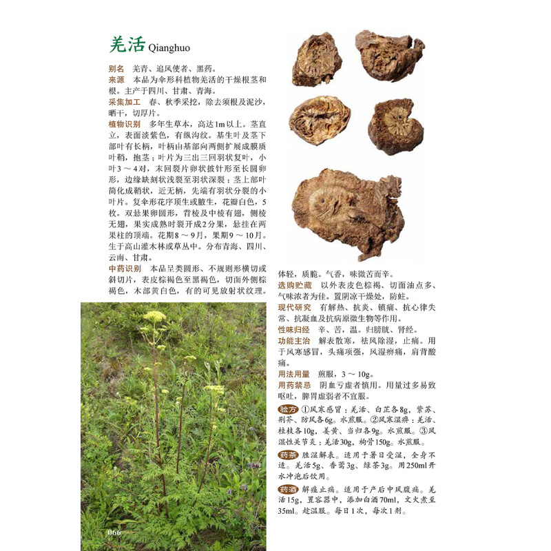 [醉染正版]图解中草药大全 中医入门中草药大全书籍药材植物彩图中药大全 中医养生保健大全中草药识别百科全书 本草纲目中草高清大图