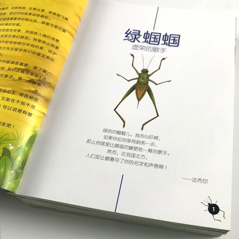 全10册 [正版]法布尔昆虫记三年级必读的全套10册注音版拼音美绘原著