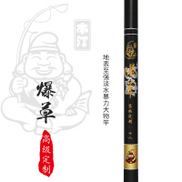 本汀19调超硬鲟鱼竿碳素鱼竿套装手竿台钓竿黑坑竞技大物竿垂钓鱼杆特价渔具用品