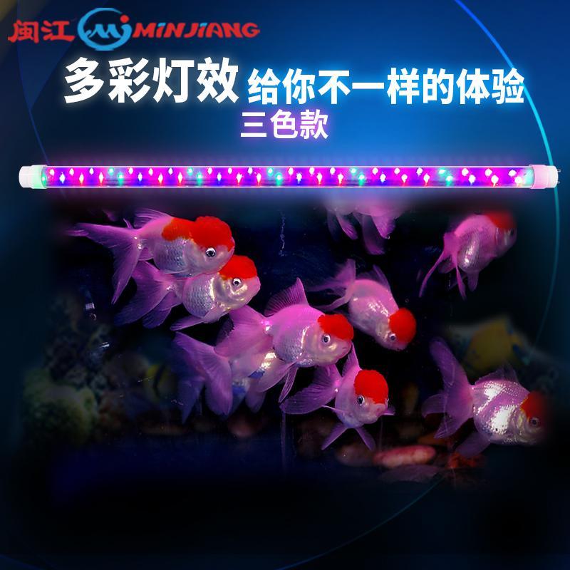闽江鱼缸灯LED灯照明灯防水灯管龙鱼专用灯水灯超亮三基色缸高清大图