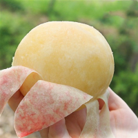 鲜贝达 桃子 水蜜桃净重4.5斤装桃子新鲜水果