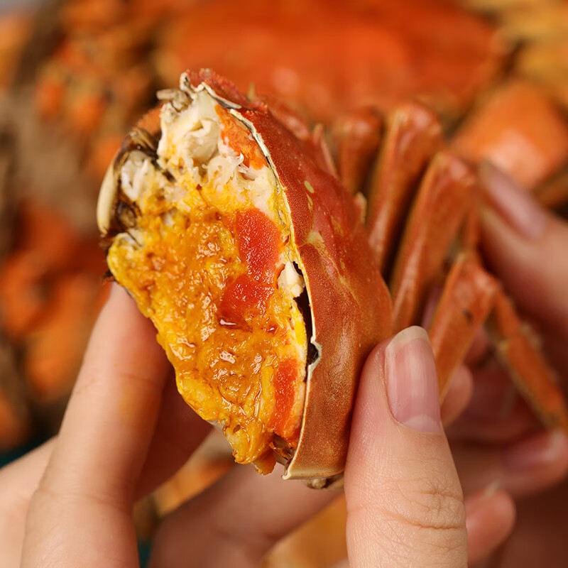 蟹太太大闸蟹精选螃蟹红金版礼盒装 1299型公4.5两 母3.0两 4对装高清大图