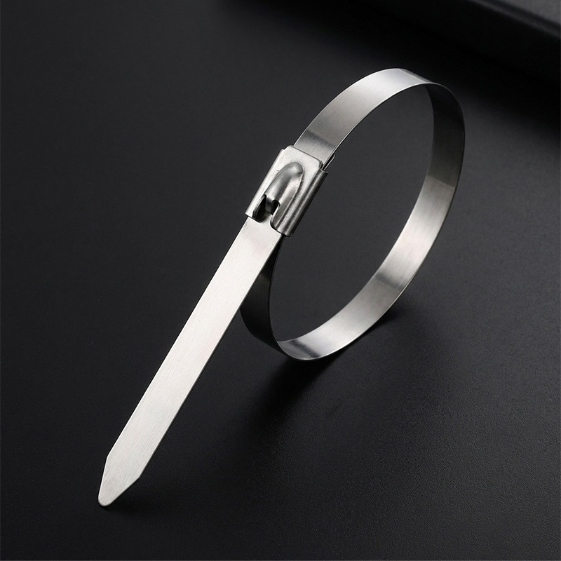 斯赞 304不锈钢扎带自锁式捆绑扎带 19*500mm 根高清大图