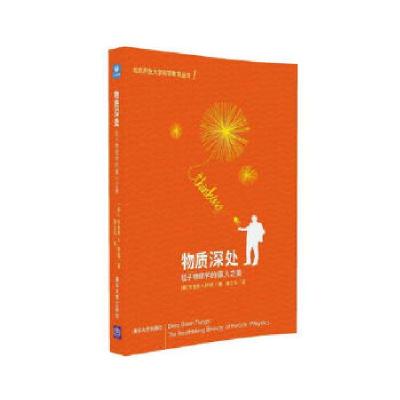 11物质深处:粒子物理学的摄人之美978730241733022