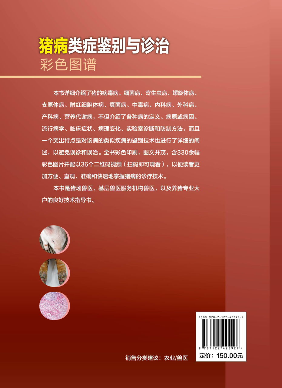 [醉染正版]正版 猪病类症鉴别与诊治彩色图谱 陈立功 主编 1化学工业出版社 9787122422927高清大图