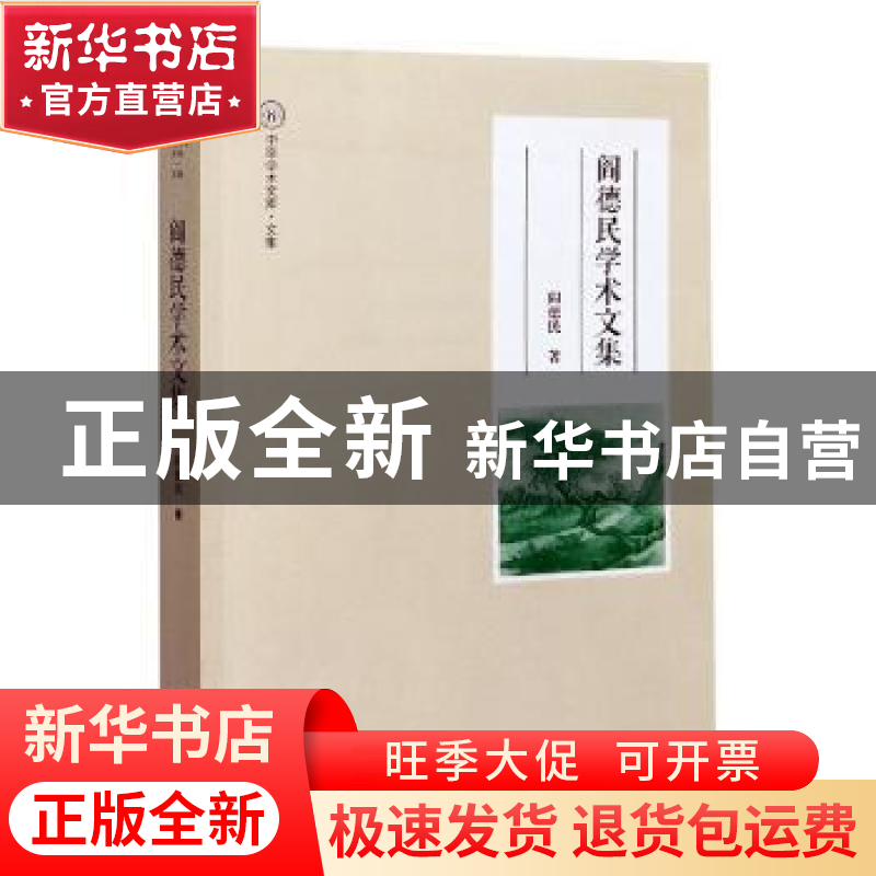 正版 阎德民学术文集 阎德民 大象出版社 9787571107574 书籍高清大图