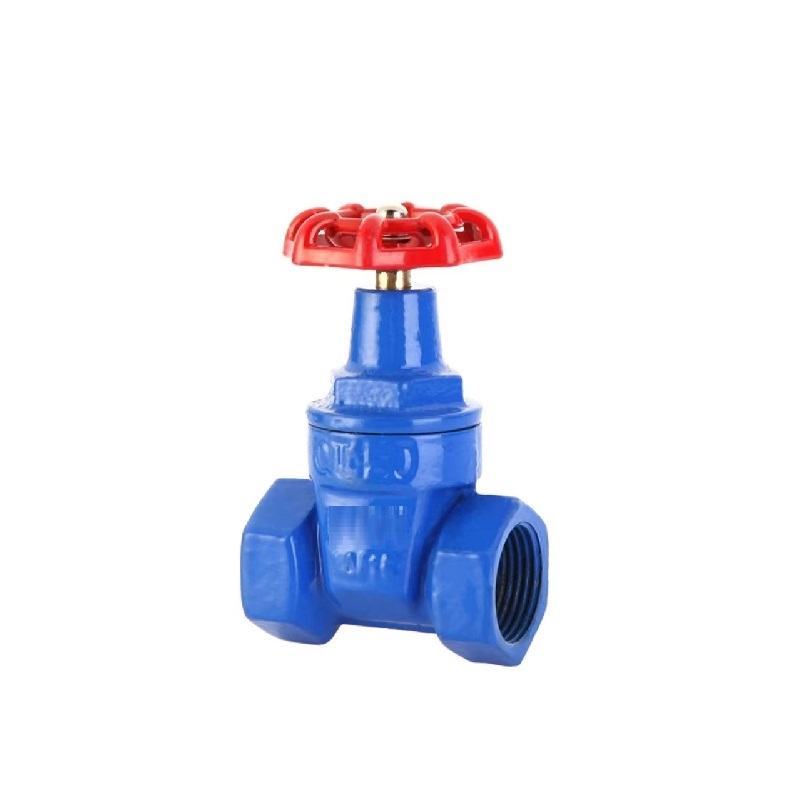 伟鹏双兴 蓝色丝扣软密封闸阀 DN80 台高清大图