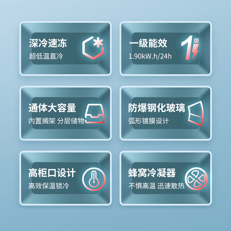 澳柯玛(AUCMA) 展示柜 SD-338(HA)338升-30℃度商用大容量大型保鲜冷柜