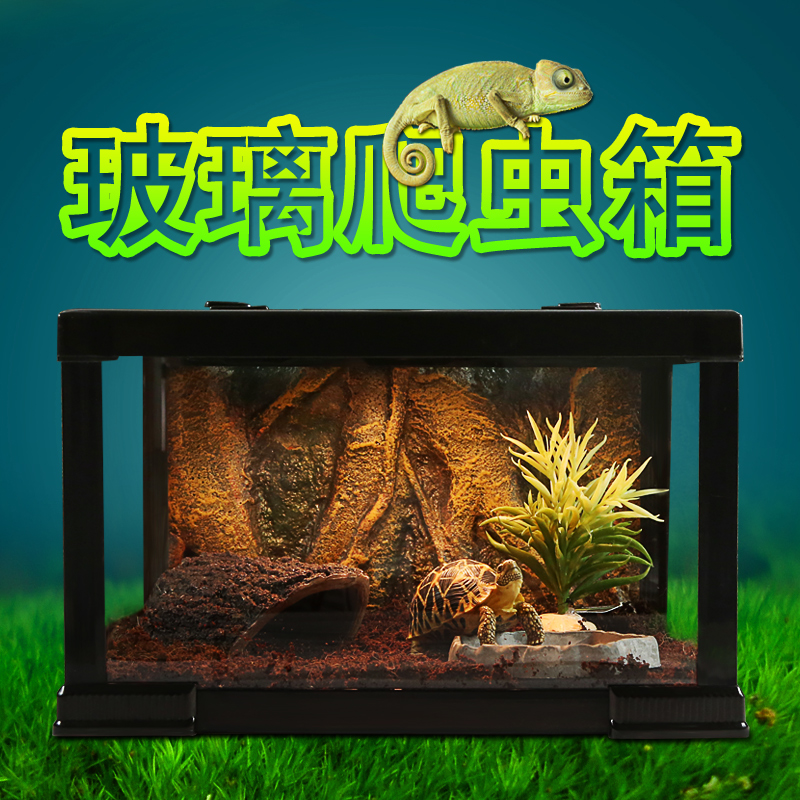 透明玻璃爬虫箱陆龟蜘蛛蝎子蜥蜴角蛙守宫昆虫饲养箱乌龟缸玻璃箱高清大图